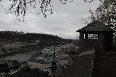 DSC_7037 (Large).JPG